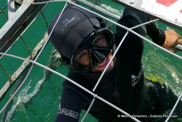 Shark cage diving, South Africa