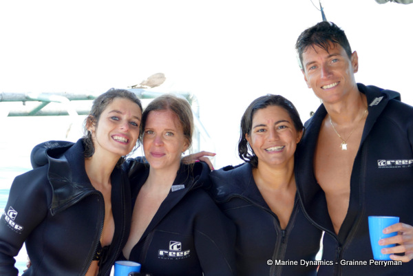 Shark cage diving, South Africa