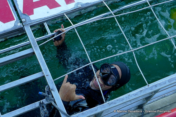 Shark cage diving, South Africa