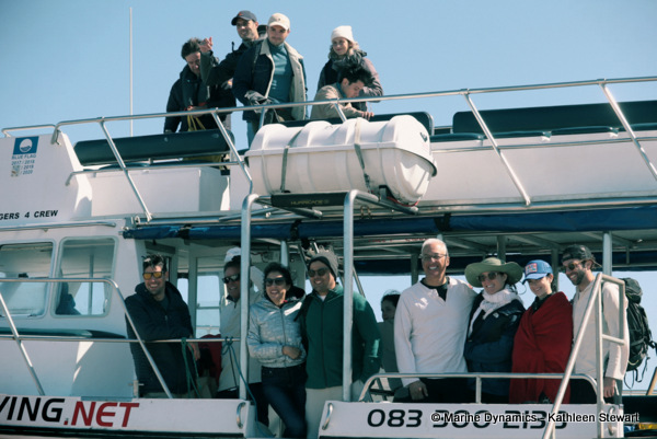Shark cage diving, South Africa