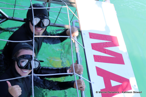 Shark cage diving, South Africa