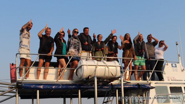 Shark Cage Diving, South Africa