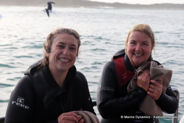 Shark cage diving, South Africa