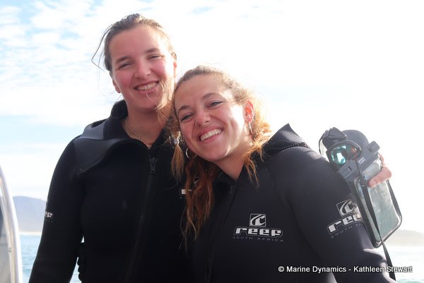 Shark cage diving, South Africa