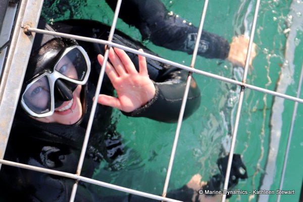 Shark cage diving, South Africa
