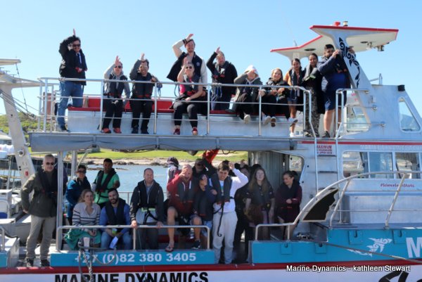 Shark cage diving, South Africa