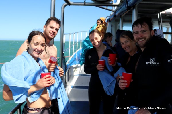 Shark cage diving, South Africa