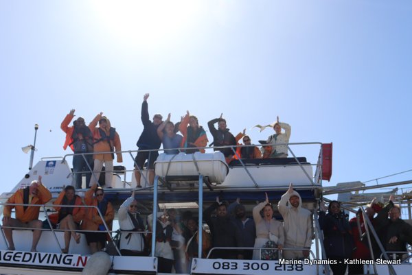 Shark cage diving, South Africa