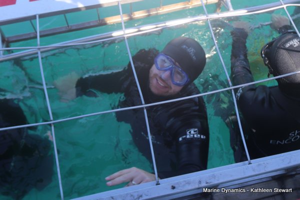 Shark cage diving, South Africa