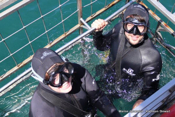 Shark Cage Diving, South Africa