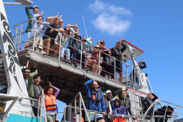 Shark Cage Diving, South Africa