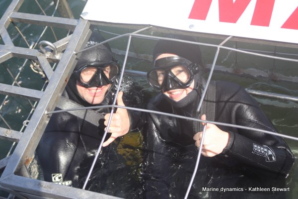 Shark Cage Diving, South Africa