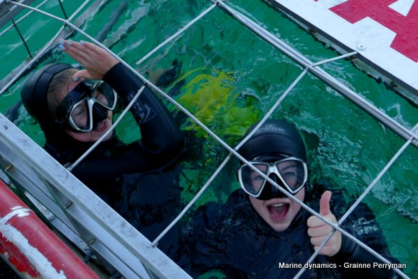 Shark cage diving, South Africa