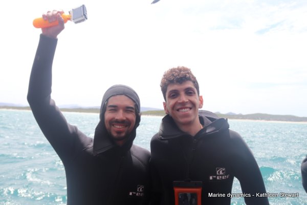 Shark cage diving, South Africa