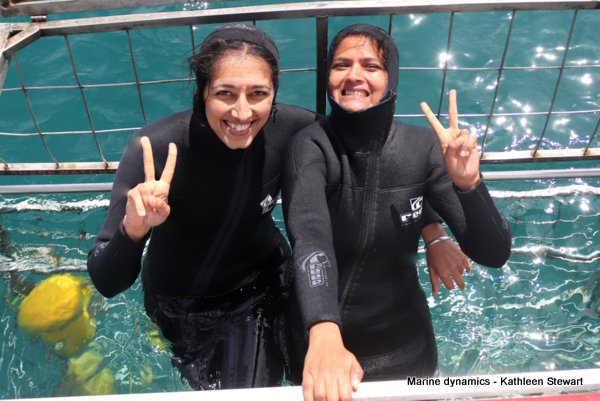 Shark cage diving, South Africa