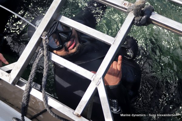Shark Cage Diving, South Africa