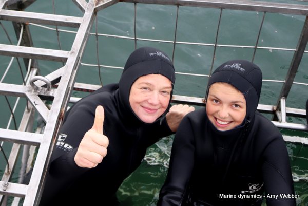 Shark Cage Diving, South Africa