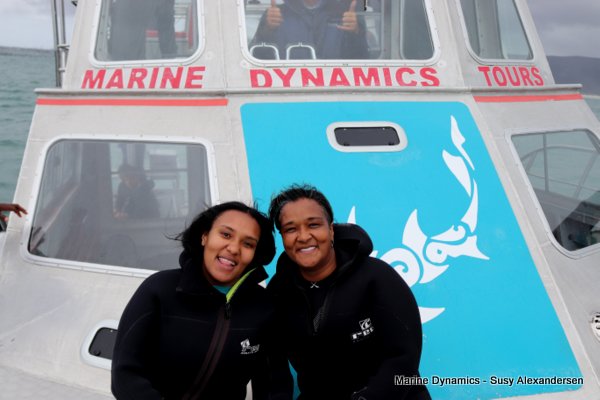 Shark Cage Diving, South Africa