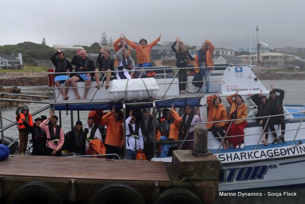 Shark Cage Diving, South Africa