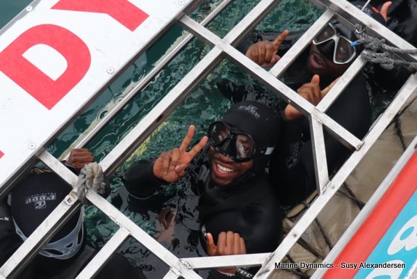 Shark Cage Diving, South Africa