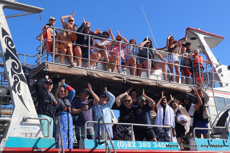 Shark Cage Diving, South Africa
