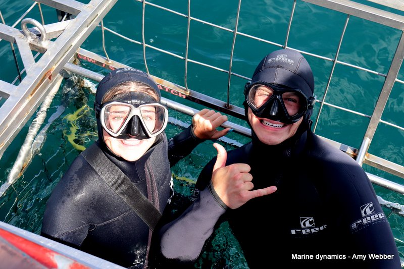 Shark Cage Diving, South Africa