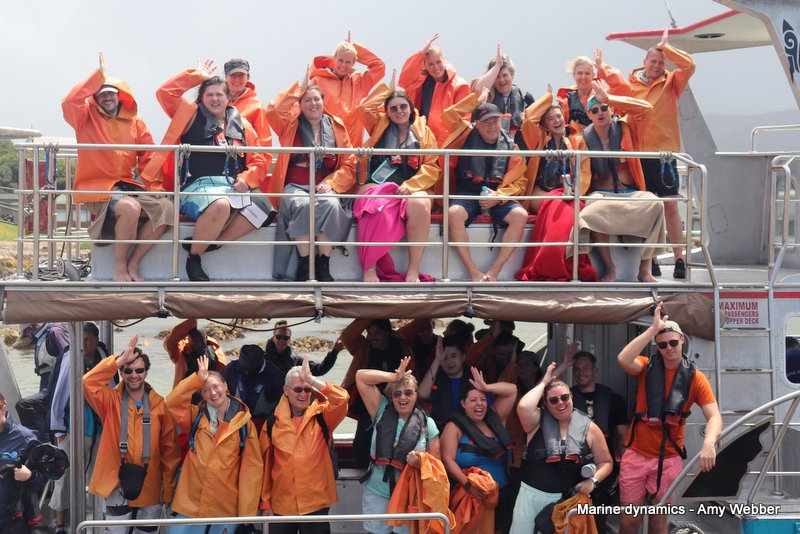 Shark Cage Diving, South Africa