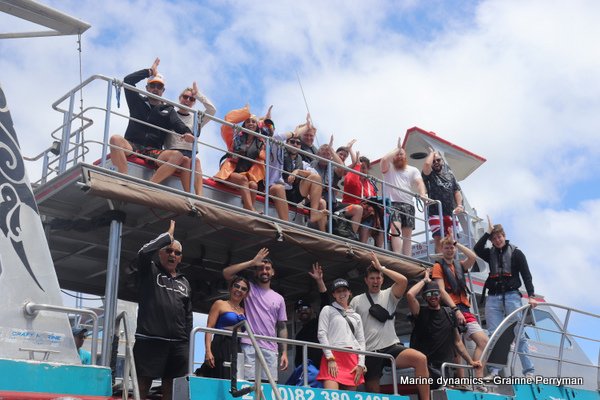 Shark Cage Diving, South Africa