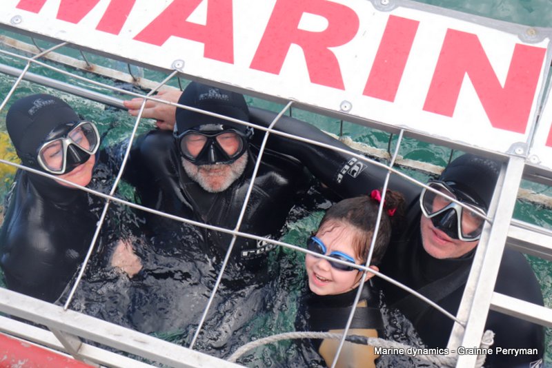 Shark cage diving, South Africa
