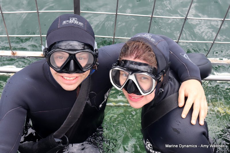 Shark Cage Diving, South Africa