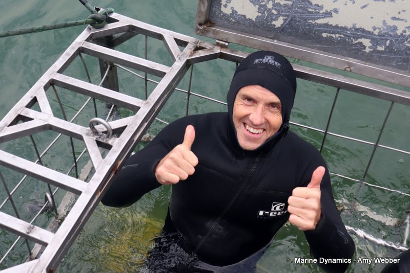 Shark Cage Diving, South Africa