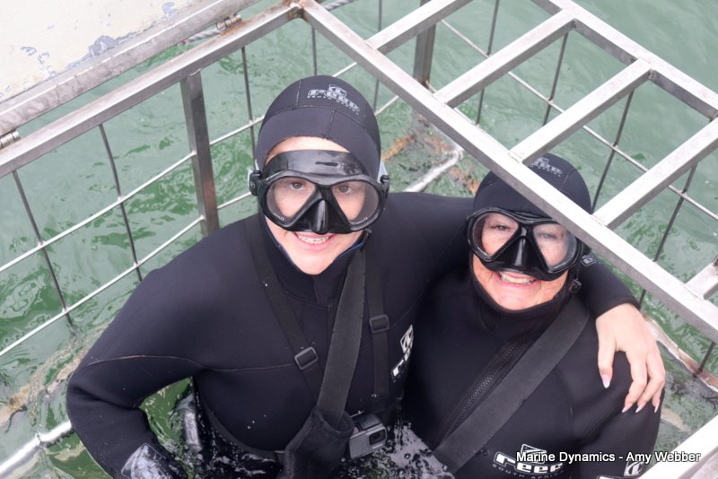 Shark Cage Diving, South Africa