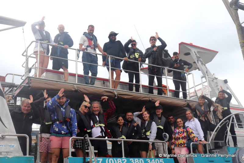 Shark Cage Diving, South Africa