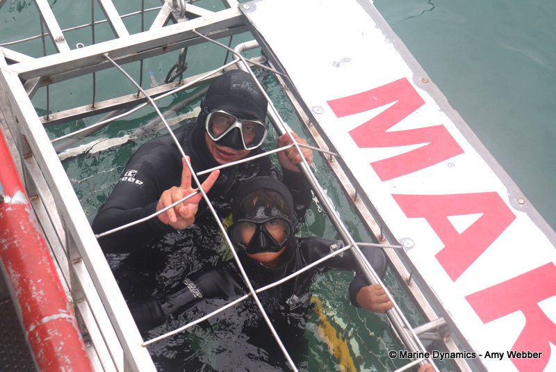 Shark Cage Diving, South Africa