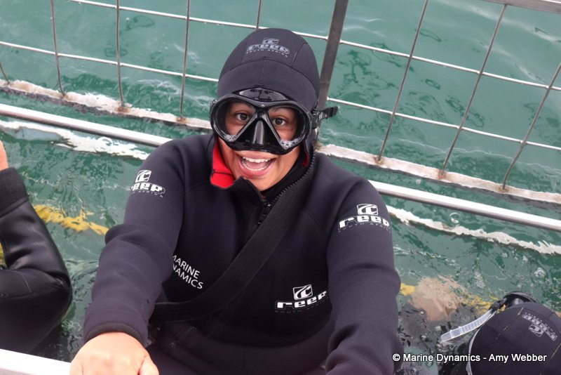 Shark Cage Diving, South Africa