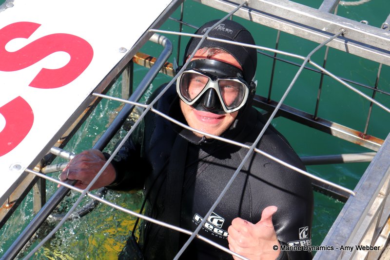 Shark cage diving, South Africa