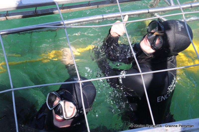 Shark Cage Diving, South Africa