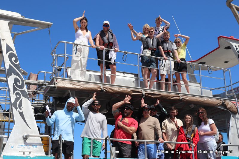 Shark Cage Diving, South Africa