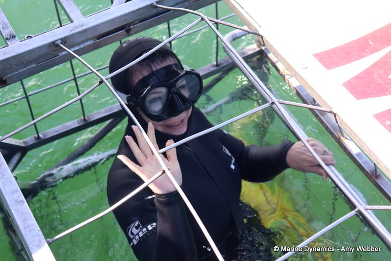 Shark Cage Diving, South Africa