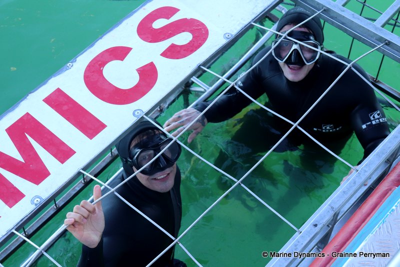 Shark Cage Diving, South Africa