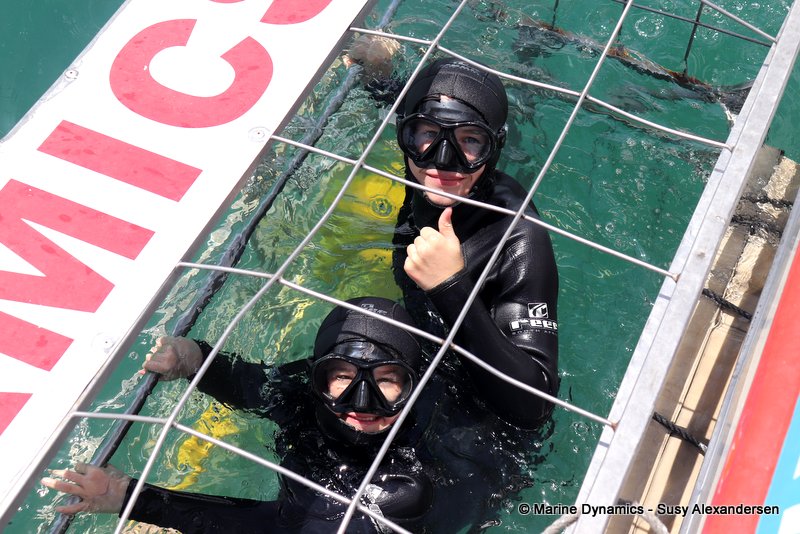 Shark cage diving, South Africa
