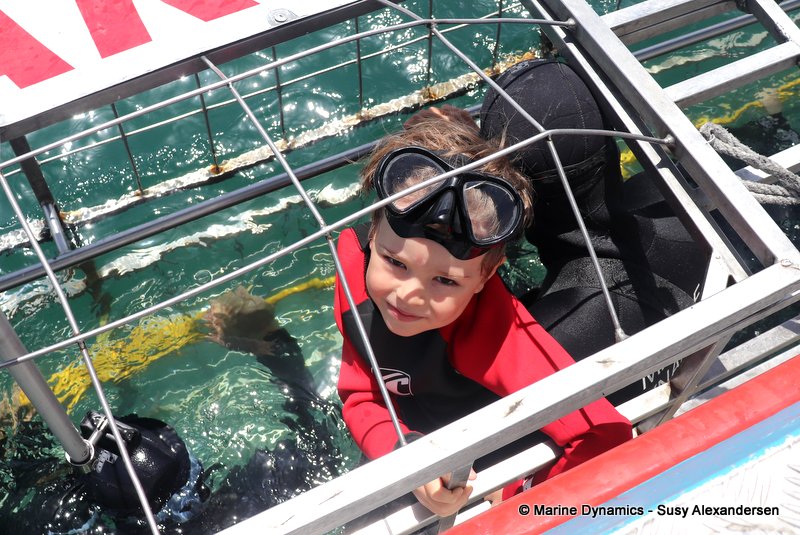 Shark cage diving, South Africa
