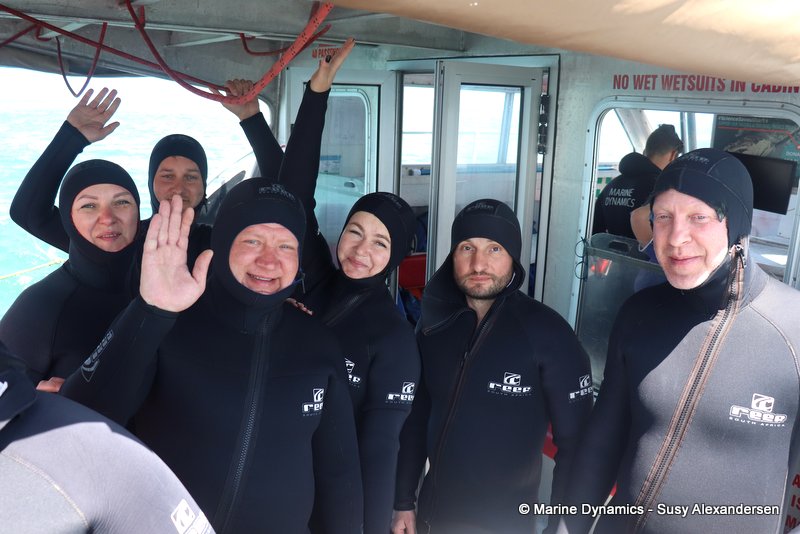 Shark cage diving, South Africa