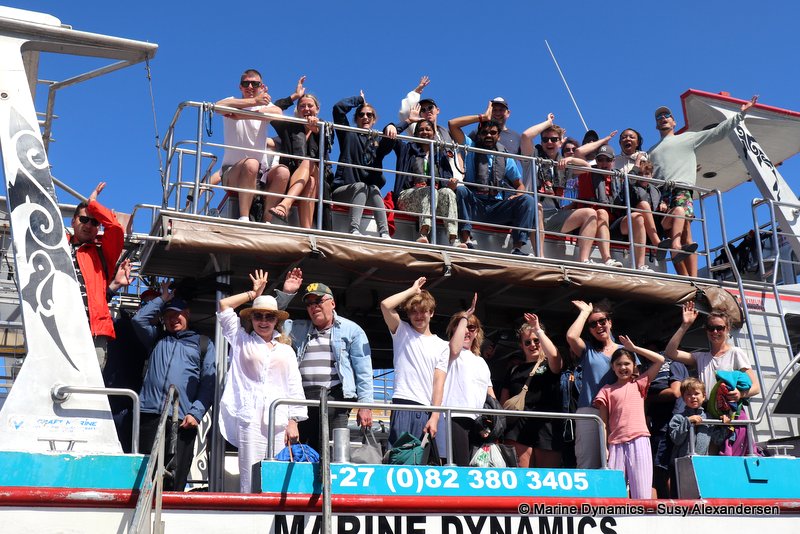 Shark cage diving, South Africa