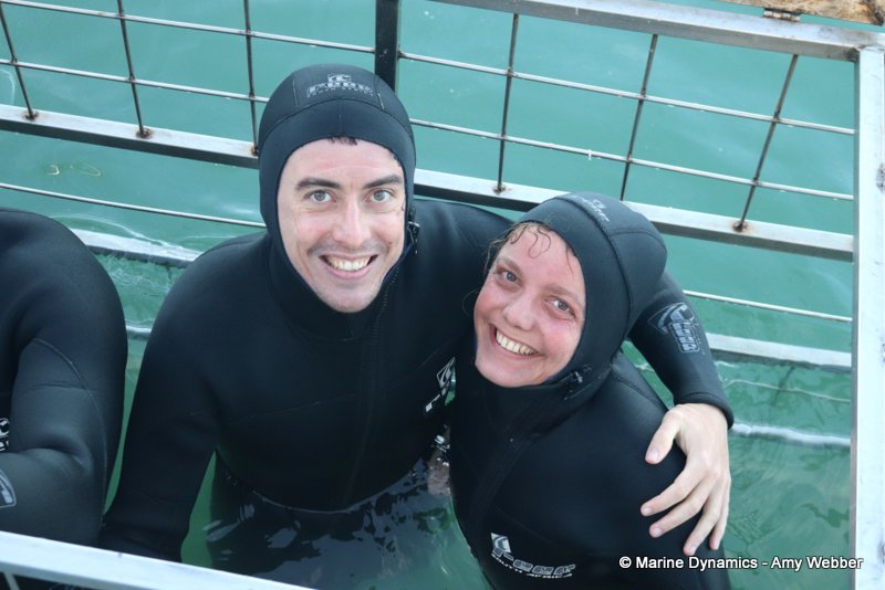 Shark Cage Diving, South Africa