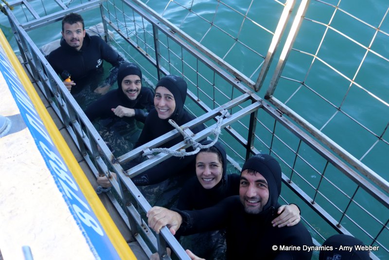 Shark Cage Diving, South Africa