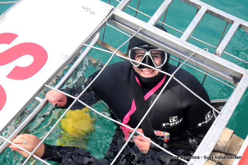 Shark Cage Diving, South Africa
