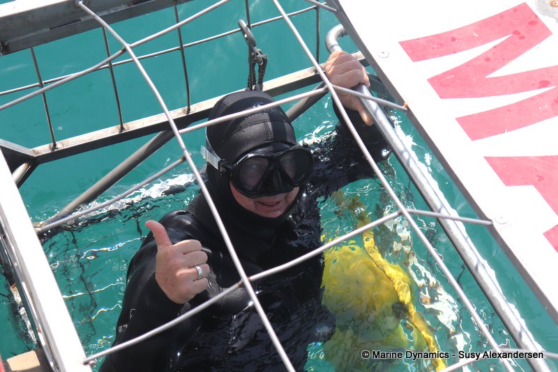 Shark Cage Diving, South Africa