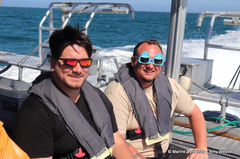 Shark Cage Diving, South Africa