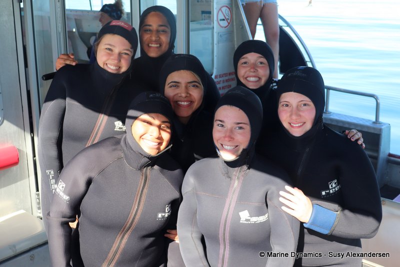Shark cage diving, South Africa
